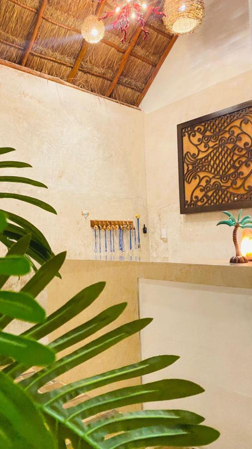 Casa Delfines Rio Lagartos Hotel Bagian luar foto