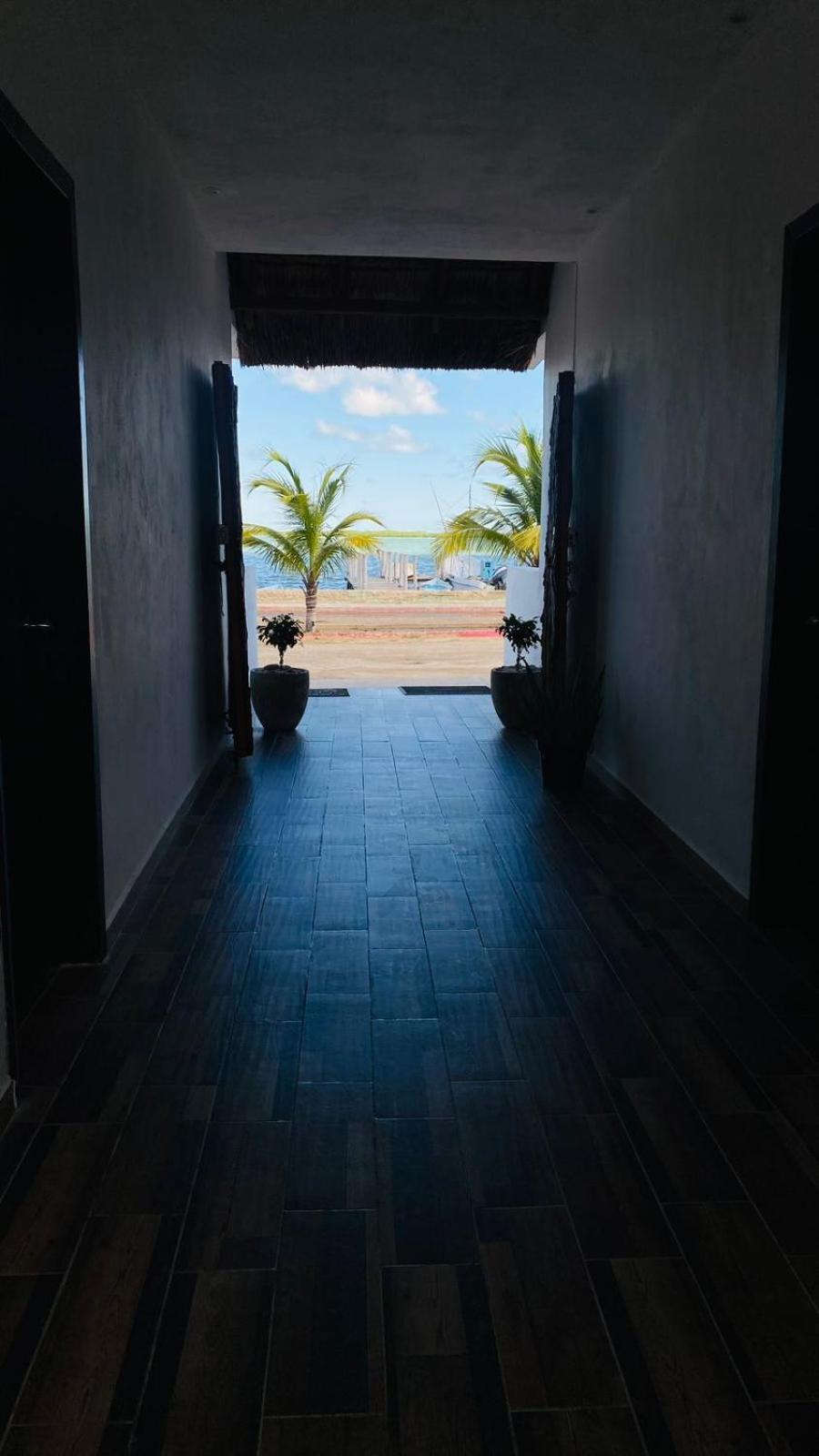 Casa Delfines Rio Lagartos Hotel Bagian luar foto